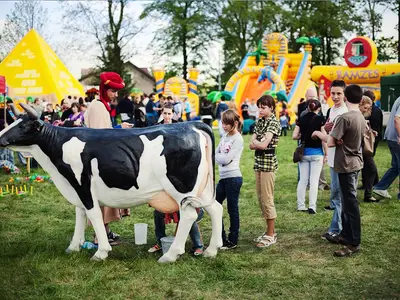 Konkurs dojenia sztucznej krowy - Park Atrakcji Arabski - Dmuchańce Wynajem