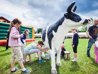 Konkurs dojenia sztucznej krowy - Park Atrakcji Ekologiczny - Dmuchańce Wynajem