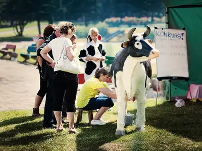 Konkurs dojenia sztucznej krowy - Park Atrakcji Ekologiczny - Dmuchańce Wynajem