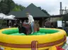 Symulator byka rodeo standard